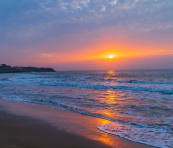 Wildlife & Beach of Gujarat: Gir with Diu Tour