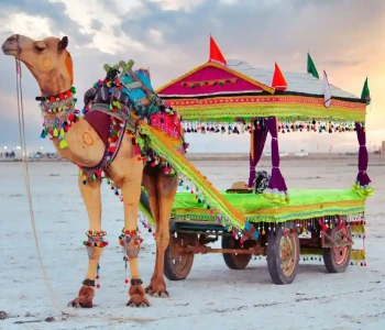 Kutch, Bhuj and Rajkot Tour Package