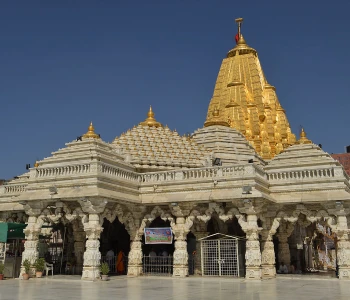 Atulya Gujarat Darshan Statue Of Unity / Gir