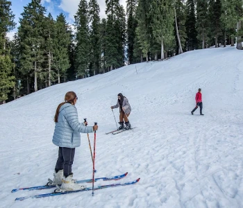 Shimla Narkanda Tour Packages