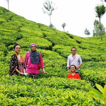 Kerala Family Tour Package