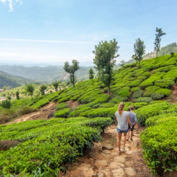 Grand Kerala Group Tour Package
