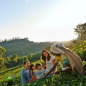 Kerala Family Tour Package